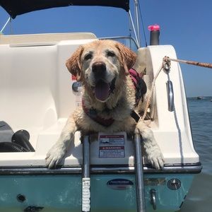 Meet your Posher, Grace